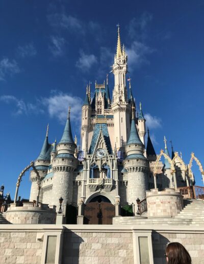 Walt Disney World Florida